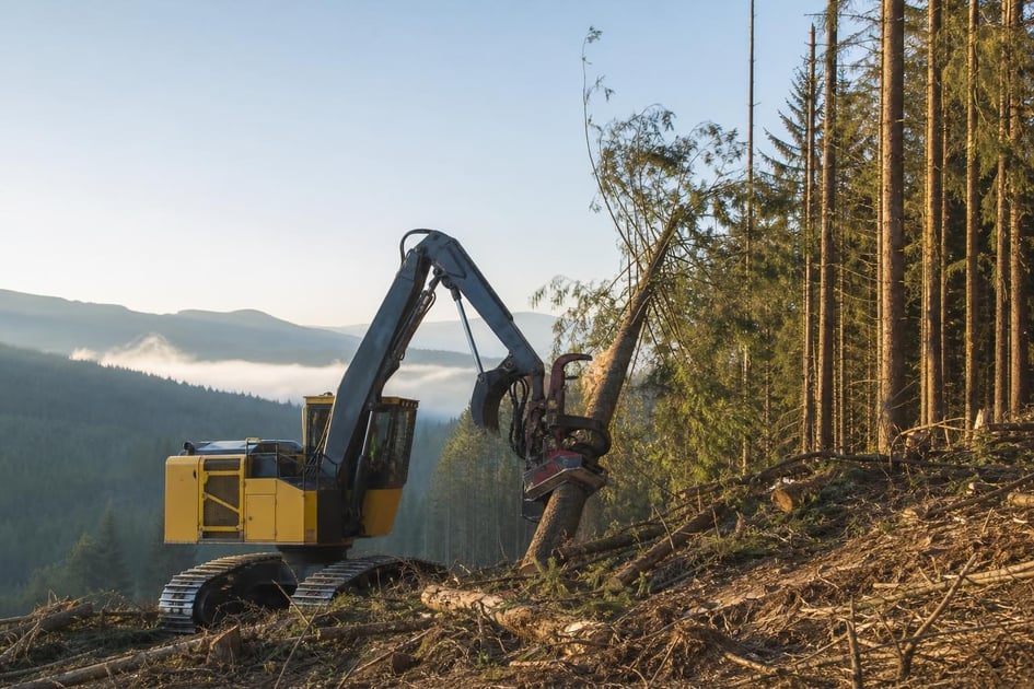 Feller buncher at a commercial worksite, illustrating forestry logging equipment financing for small business