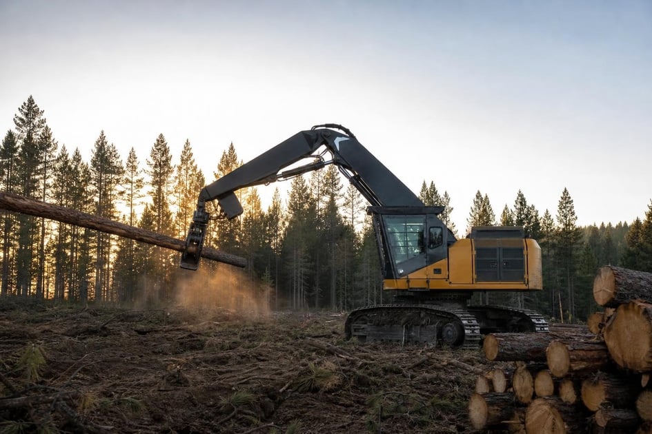 Feller buncher at a commercial worksite, illustrating forestry logging equipment financing rates